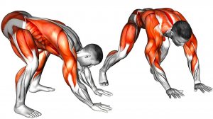 Упражнения с Собственным ВЕСОМ Дома без Оборудования