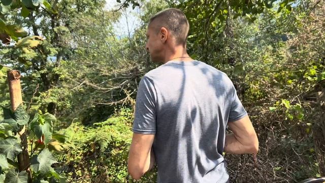 ГРУЗИНСКАЯ ДЕРЕВНЯ , СБОР УРОЖАЯ 2023 НАШЛИ СТАРИННЫЙ КУ смотреть онлайн