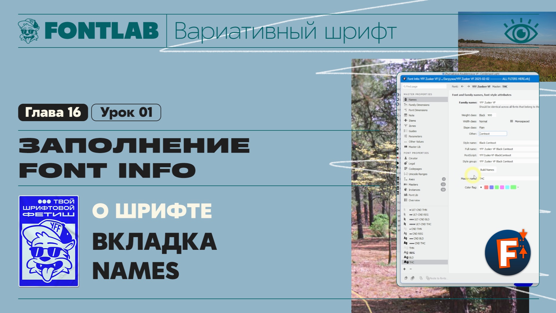 ДВШ 16-01 Заполнение Font info – Вкладка Names – Урок Fontlab