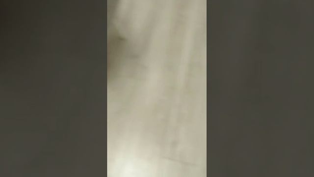 выполняем разные челленджи старые стримы смотреть онлайн