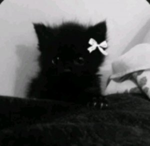 ХОРРОР мы играем со зиватиком майнкрафт❤❤❤ 🕡