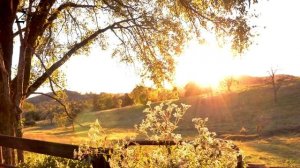 Hogevor erg-Arjan es parqeri /Огевор ерг- Аржан ес паркери