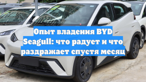 Опыт владения BYD Seagull: что радует и что раздражает спустя месяц