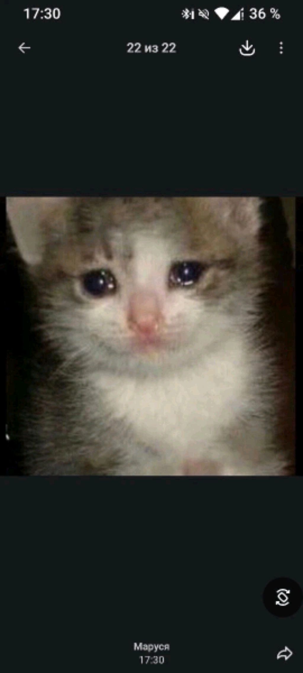 играем в РБ смотреть онлайн