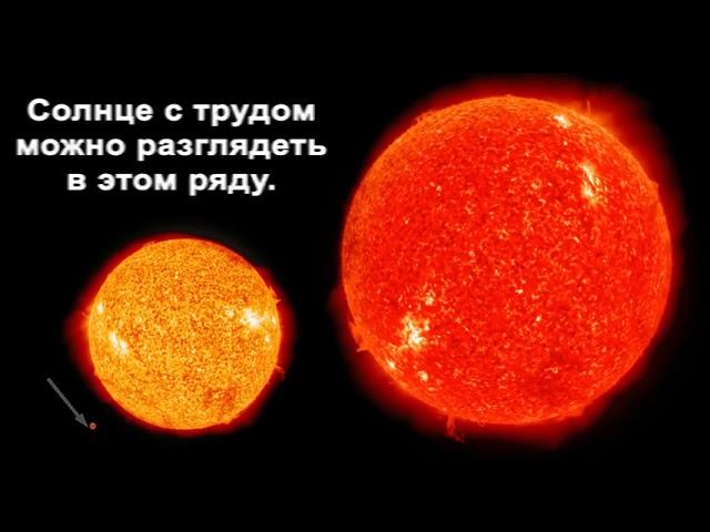 После увиденного ваши проблемы покажутся ничтожными