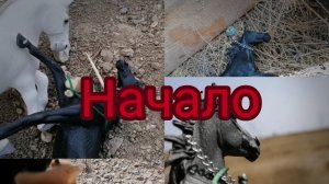 Сериал "Путь". Часть первая :начало. Лошади шляйх видео.