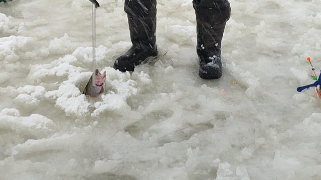 Основной водоём. На пасту. смотреть онлайн