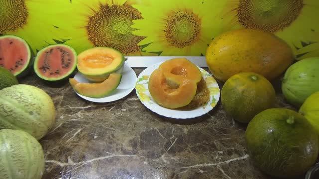 Какая дыня самая сладкая и вкусная в 2024 году? смотреть онлайн