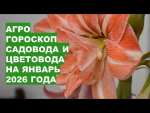 Январь 2026: Гороскоп для Цветоводов и Садоводов | Раиса Горяченко!