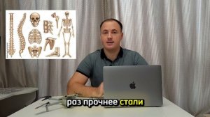 Прочность человеческих костей