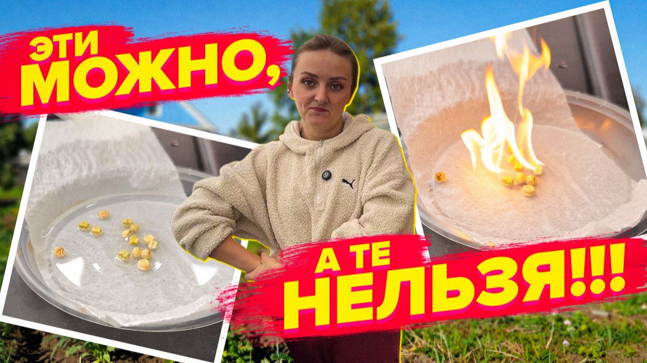 НУЖНО ЛИ ЗАМАЧИВАТЬ СЕМЕНА смотреть онлайн