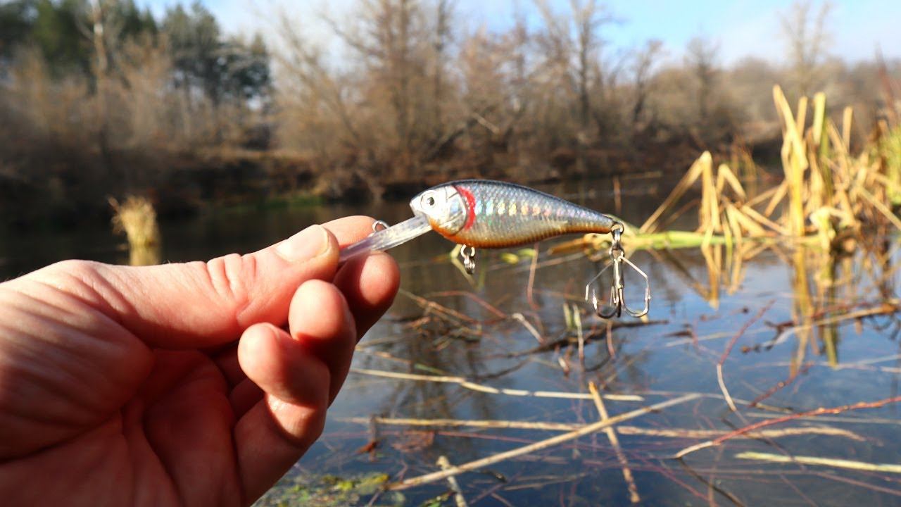Какие приманки лучше всего работают в ноябре на щуку? Уже 10 лет ловлю только на них. смотреть онлайн