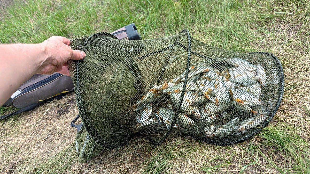 На такую нестандартную наживку ловлю осень много рыбы... смотреть онлайн