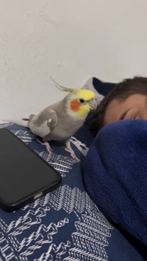 Будильник-антисоня: как этот гаджет спасёт вас от опозданий на работу 🚀