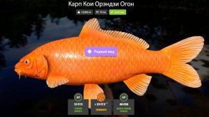 ФАРМ ЦВЕТНЫХ КАРПОВ НА МЕДНОМ. ТЕСТ фидера РЯЗАНКА и катушки Full Metal