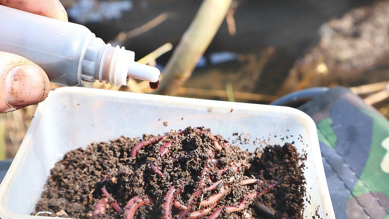 Кормлю этим червяков перед рыбалкой! Становятся красными жирненькими ароматными рыба их любит. смотреть онлайн