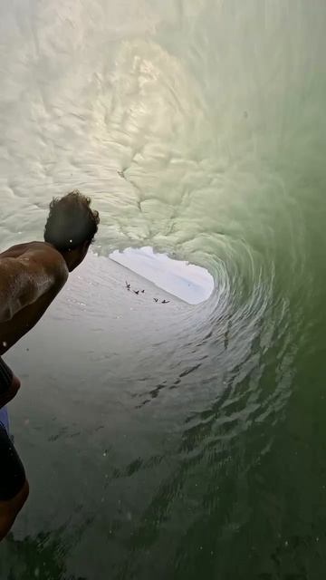 . смотреть онлайн