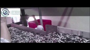 Потоковые весы до 100 т/час