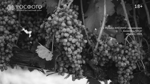 Выставка «Виноделы. Старый Свет / Новый Свет» 18+ || 2025 смотреть онлайн