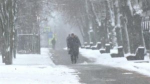 К концу дня в Москве может выпасть четверть месячной нормы осадков.