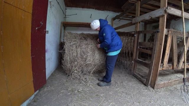 Влог от 14.12.2021 смотреть онлайн