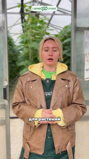 ЗАКРЫВАТЬ ЛИ ОКНА И ДВЕРИ В ТЕПЛИЦЕ ЗИМОЙ? И так ли нужен в ней снег…