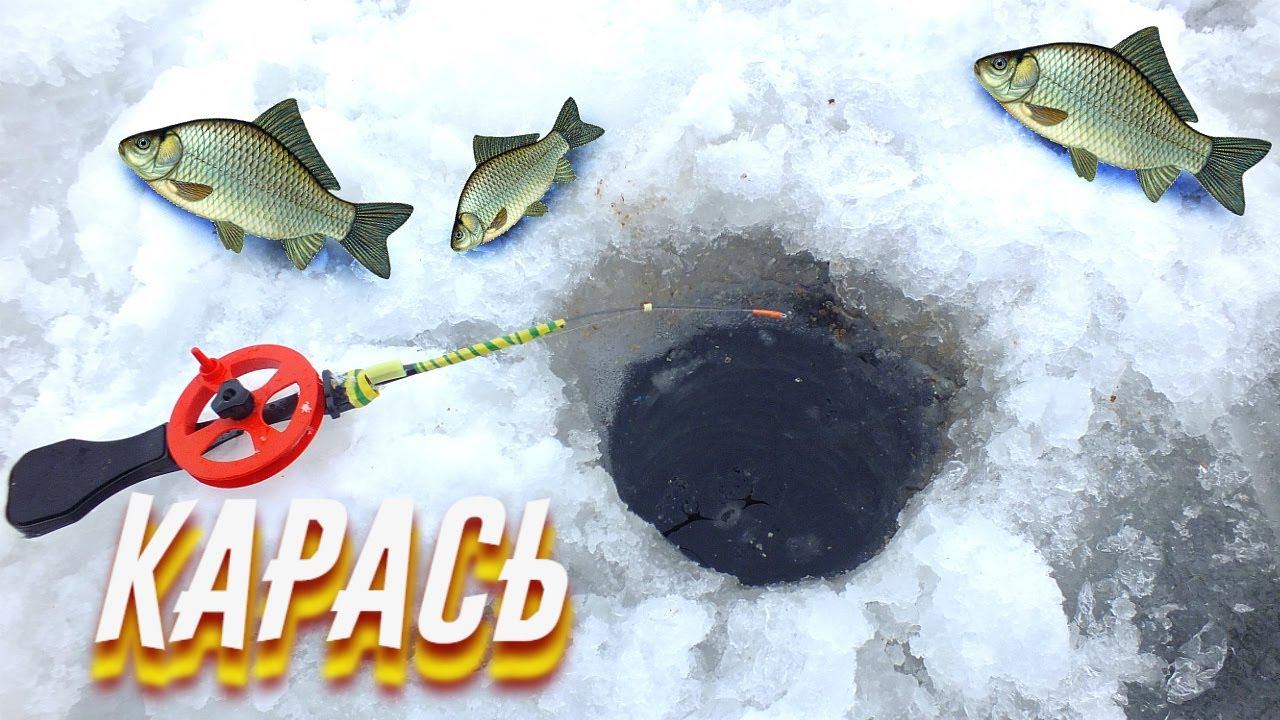 Как ловить карася зимой? На что ловить карася зимой? Где ловить карася зимой? смотреть онлайн