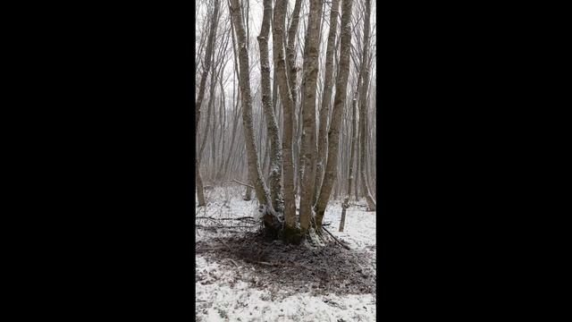 Очередная 18-летняя террористка.