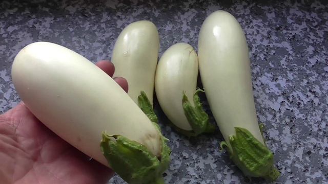 Выбираю сорта баклажанов смотреть онлайн