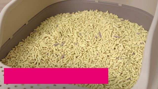 Лотки для кошек ЛЯ–МУРР IDEA смотреть онлайн