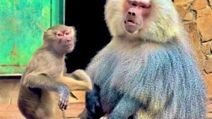 ОЙ ЕЙ ЕЙ! По моему у Елисея и Люси скоро БУДУТ ДЕТИ!!!