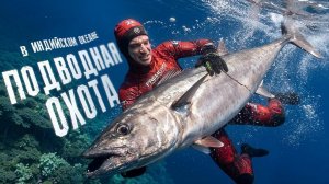 Подводная Охота и Выживание на Острове в Индийском Океане. Поймали Собакозубого Тунца и Акулу