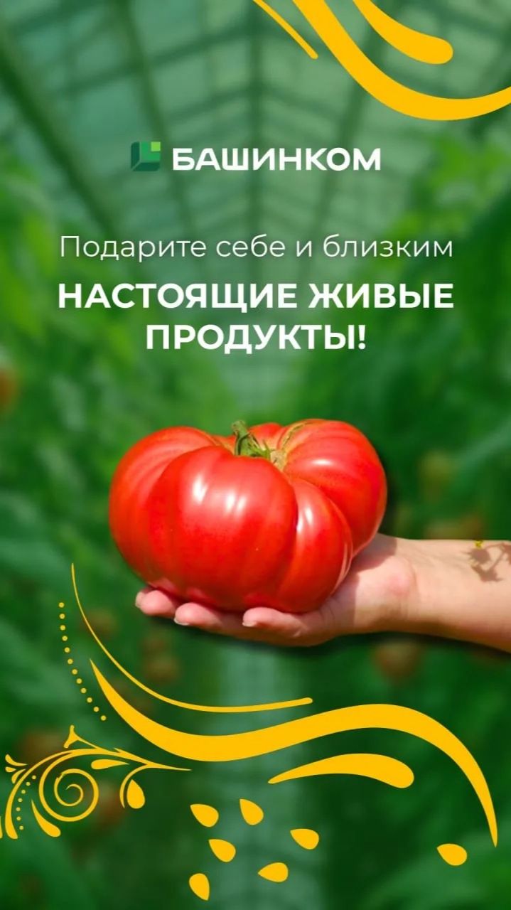 Настоящие живые продукты смотреть онлайн