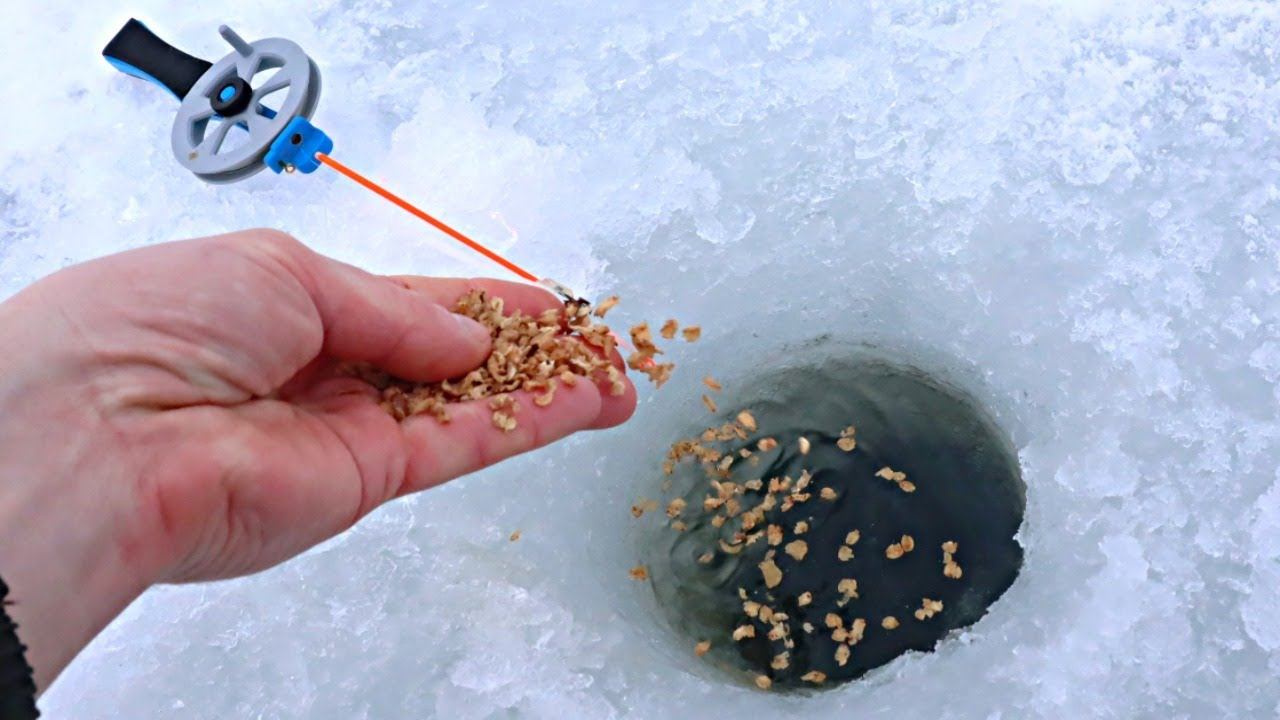 Эти водяные блохи супер хит года! Приманивают рыбу даже в глухозимье с 1 километра. смотреть онлайн