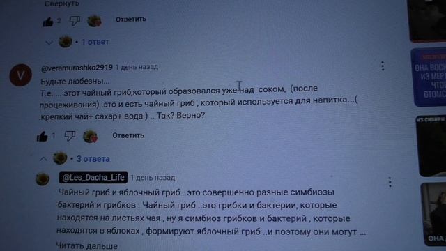 🍎ЯБЛОЧНЫЙ УКСУС ✅Как отличить Яблочную гриб-матку о? смотреть онлайн