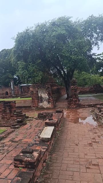 Храм без монахов. Как так? смотреть онлайн