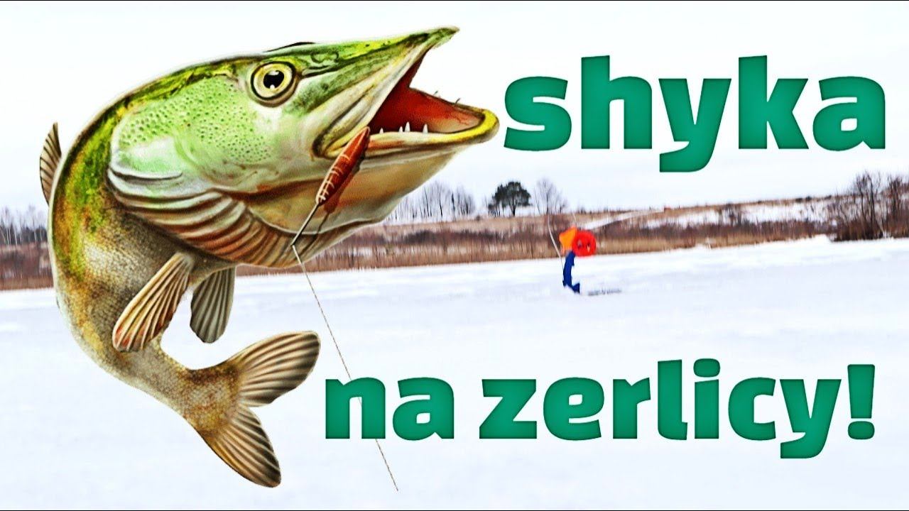 Как ловить щуку на жерлицы зимой? Все секреты за 3 минуты. смотреть онлайн