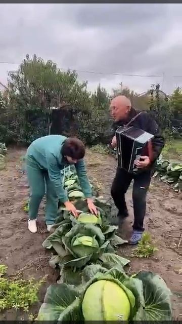 Вот и осень наступила смотреть онлайн