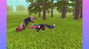 WildCraft Шордц с моей др