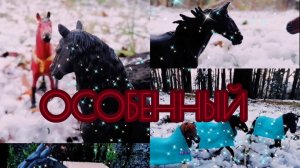 Шляйх сериал :"Путь". Часть восьмая : "особенный "