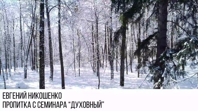 Молитвенная пропитка 10 (с семинара "Духовный") - Евгений Никошенко смотреть онлайн