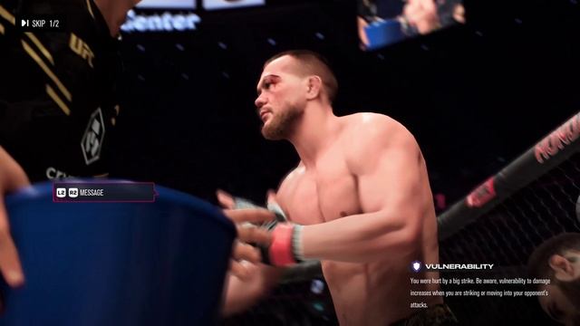 Пётр Ян - Шон О'Мэлли. UFC 5 Онлайн