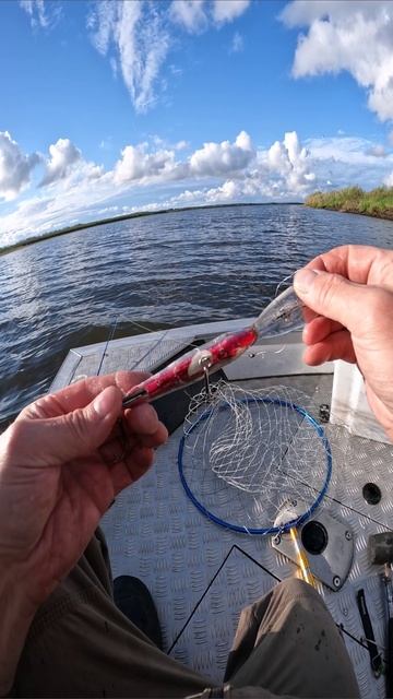 Воблер обгрызли в ХЛАМ смотреть онлайн