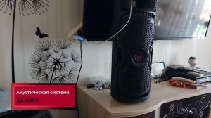 Ремонт акустической системы QL-8804