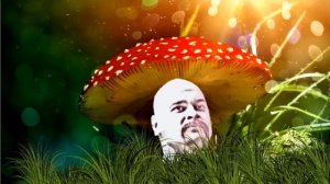 Мухоморный трип Тесака