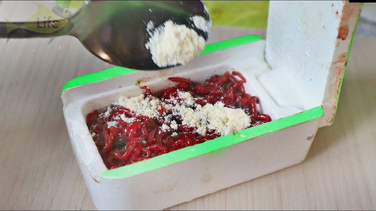 Мотыль перестает лопаться на крючке! Насыпьте этот порошок в мотыля перед рыбалкой уловистость супер смотреть онлайн