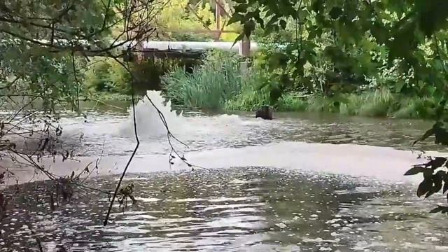 Видео от Администрация города Саров
