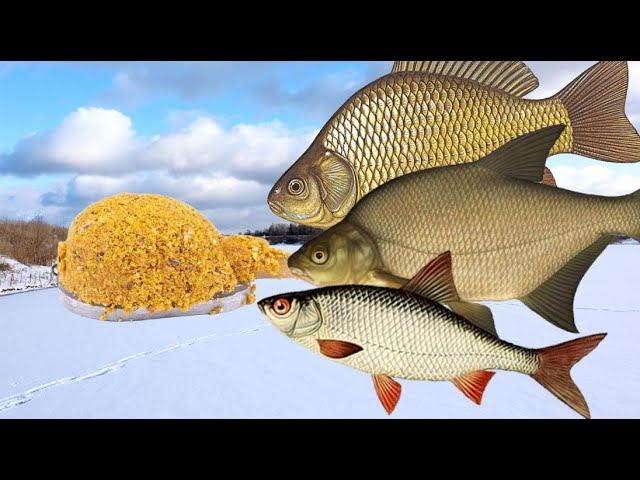 Супер уловистая осенне зимняя прикормка для плотвы, леща, карася! смотреть онлайн
