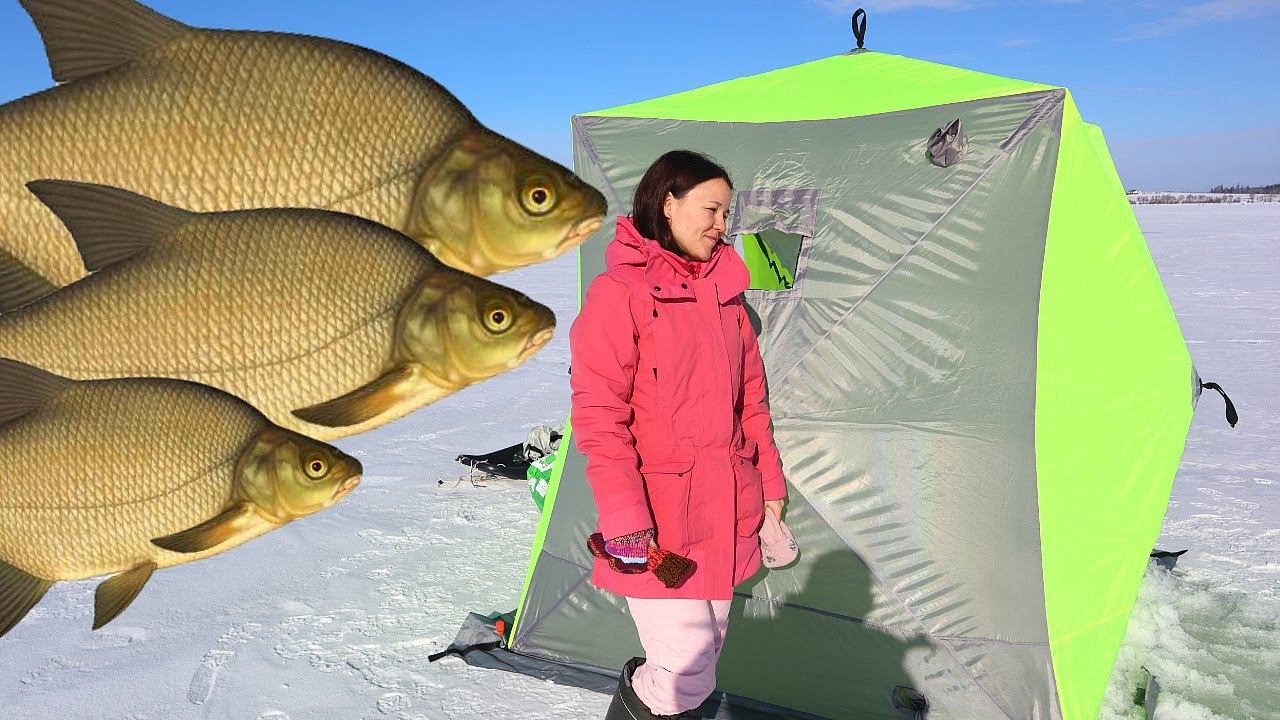 Ловля леща зимой. Тактика ловли леща в декабре январе и феврале от профессионального рыболова. смотреть онлайн