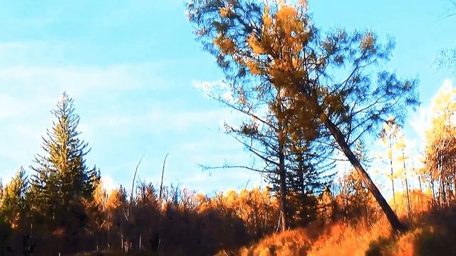 я ищю человека.mp4